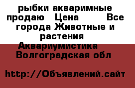 рыбки акваримные продаю › Цена ­ 30 - Все города Животные и растения » Аквариумистика   . Волгоградская обл.